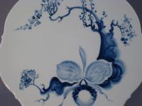 Blaue Blume, Orchidee, Mahonie